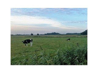 Ferienwohnung Humptrup Außenaufnahme 3