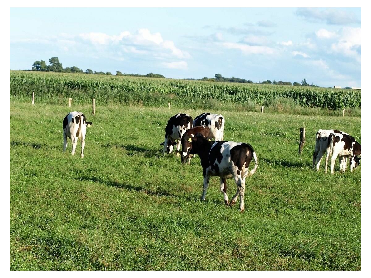 Ferienwohnung Humptrup Außenaufnahme 19