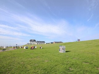 Ferienhaus Dagebüll Umgebung 19