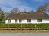 Ferienhaus Tating Außenaufnahme 1