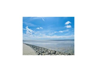 Ferienwohnung Friedrich-Wilhelm-Lübke-Koog Umgebung 24