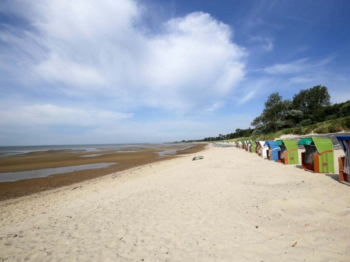 Ferienwohnung Wyk auf Föhr Umgebung 11