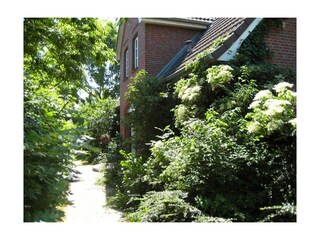 Ferienhaus Borgsum Außenaufnahme 3
