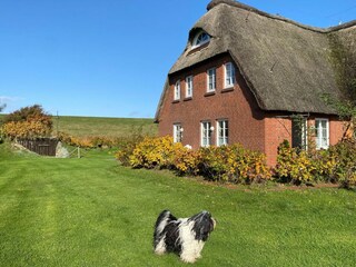 Ferienwohnung Nordstrand Außenaufnahme 1
