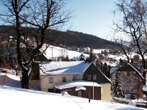 Holiday house Zum Grünen Hirsch Stolln - Upper Ore Mountains - image1