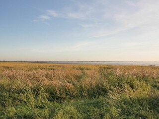 Ferienhaus Schobüll Außenaufnahme 3