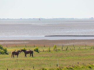Ferienhaus Schobüll Außenaufnahme 13