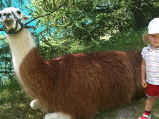 Appartamento per vacanze Partschins Ambiente 21