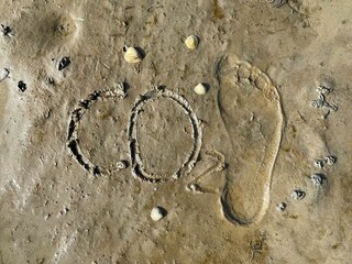 Ferienhaus Dagebüll Umgebung 35