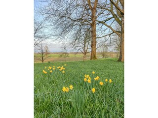 Ferienhaus Ostenfeld Außenaufnahme 11