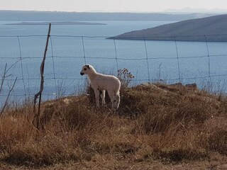 Appartement Kozino Buitenaudio-opname 6