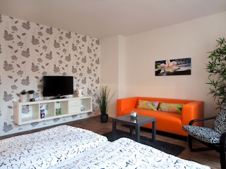 Living room and bedroom