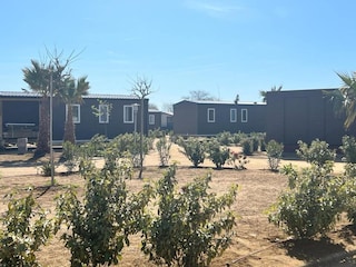 Ferienhaus Malgrat de Mar Außenaufnahme 10
