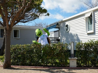 Ferienhaus Malgrat de Mar Außenaufnahme 5