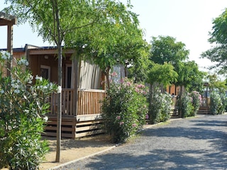 Ferienhaus Malgrat de Mar Außenaufnahme 15