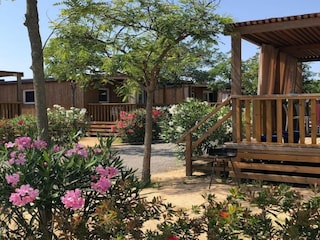 Ferienhaus Malgrat de Mar Außenaufnahme 16