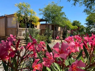 Holiday house Malgrat de Mar Outdoor Recording 12