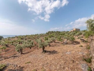 Bungaló Malgrat de Mar Entorno 14