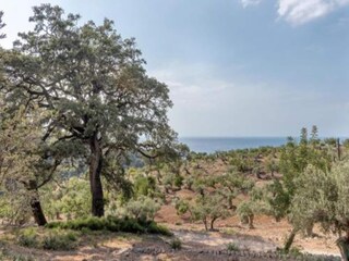 Bungalow Malgrat de Mar Environnement 13