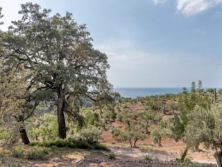 Bungalow Malgrat de Mar Umgebung 19