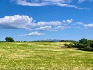 Bungaló Vilanova i la Geltrú Entorno 18