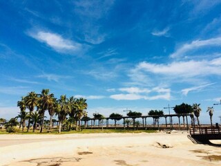 Apartamento Benicarló Entorno 19