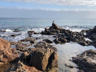 Bungalow Begur Environnement 13