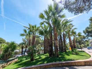 Vakantiehuis Torredembarra  30