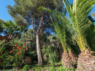 Maison de vacances Torredembarra  35