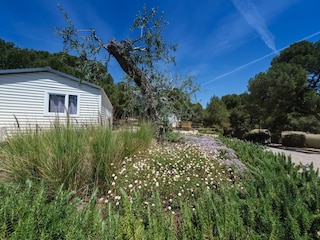Rulot Torredembarra Grabación al aire libre 12