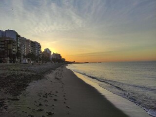 Trailer Creixell Environment 36