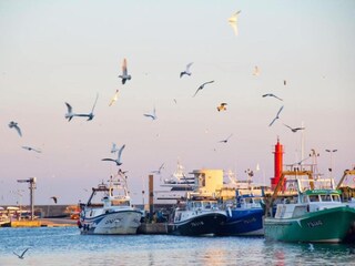 Bungalow Cambrils Environment 15