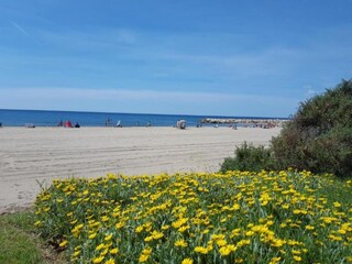 Bungalow Cambrils Environnement 14