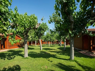 Bungaló Cambrils Grabación al aire libre 9