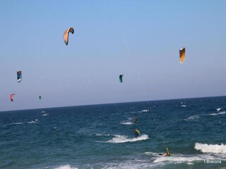 Trailer Cambrils Environment 16