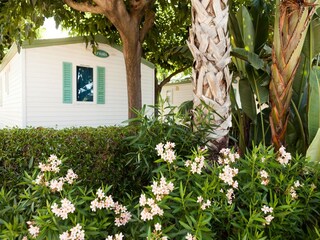 Ferienhaus Cambrils Außenaufnahme 9