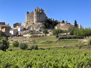 Holiday house Calafell Environment 30