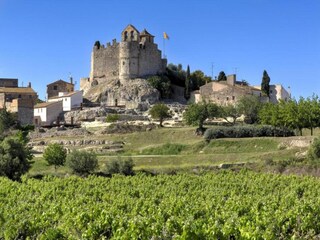 Vakantiehuis Calafell Omgeving 35