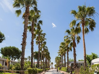 Ferienhaus Calafell Umgebung 26