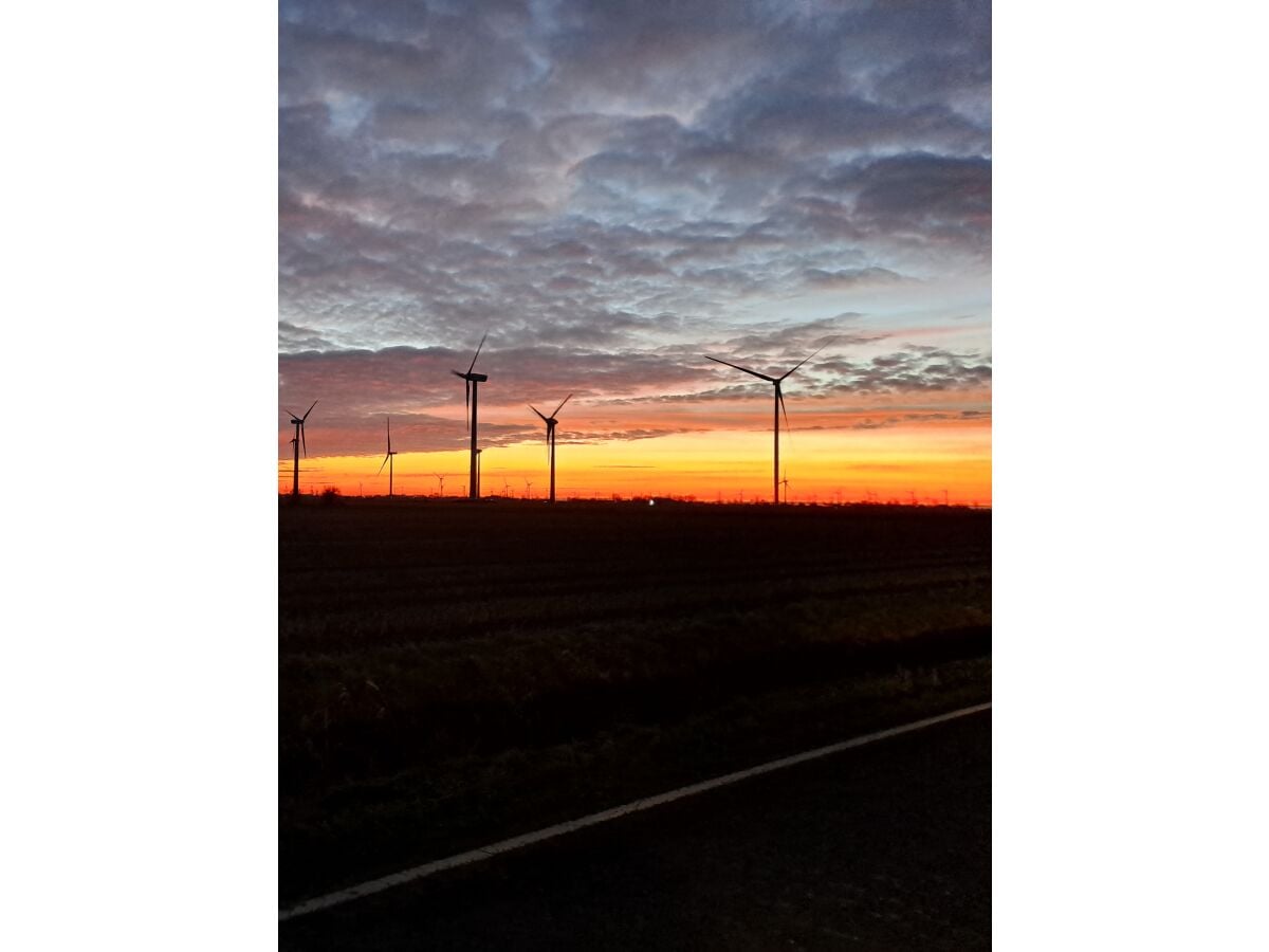 Windmühlen in Friedrichskoog