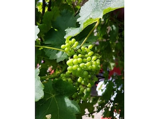 Impressionen am Grillplatz