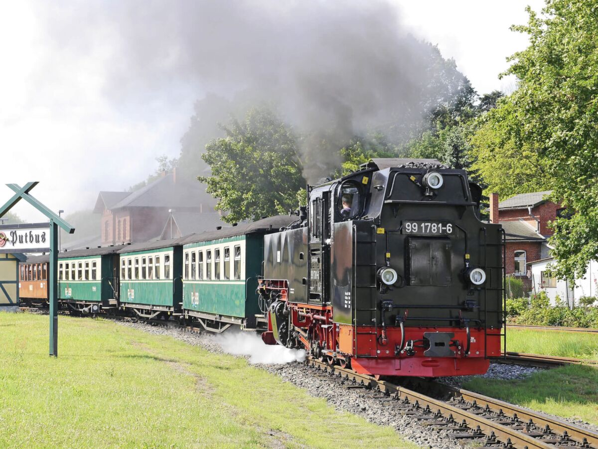 Schmalspurbahn "Rasender Roland"