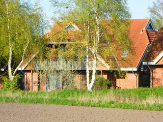 Ferienwohnung Dahme Ausstattung 29