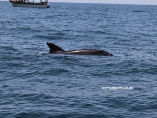 Maison de vacances Vale de Parra Environnement 38