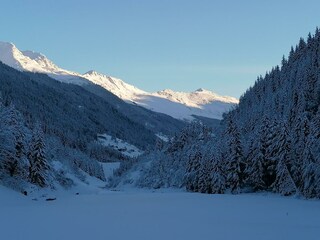 IMG_20201210_082932