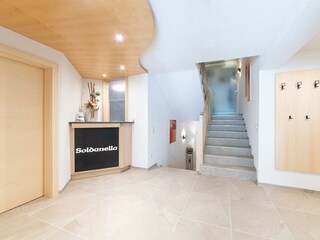 2102-1_004_wf-soldanella_09-21