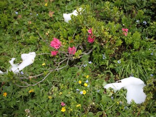 Schnee auch im Sommer