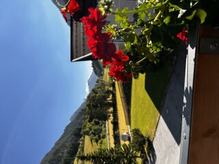 06656413-631C-4221-89E5-98F64A8F9224