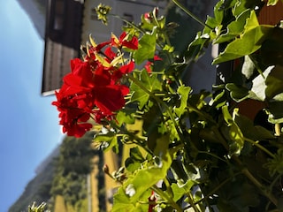 68FB2ED5-41FD-4750-8E72-E7D9FBE025A8