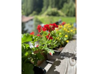 9FE9AD90-30B7-4F3C-B2CE-86972AB1B45E